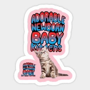 ADORABLE NEWBORN BABY KITTENS Sticker